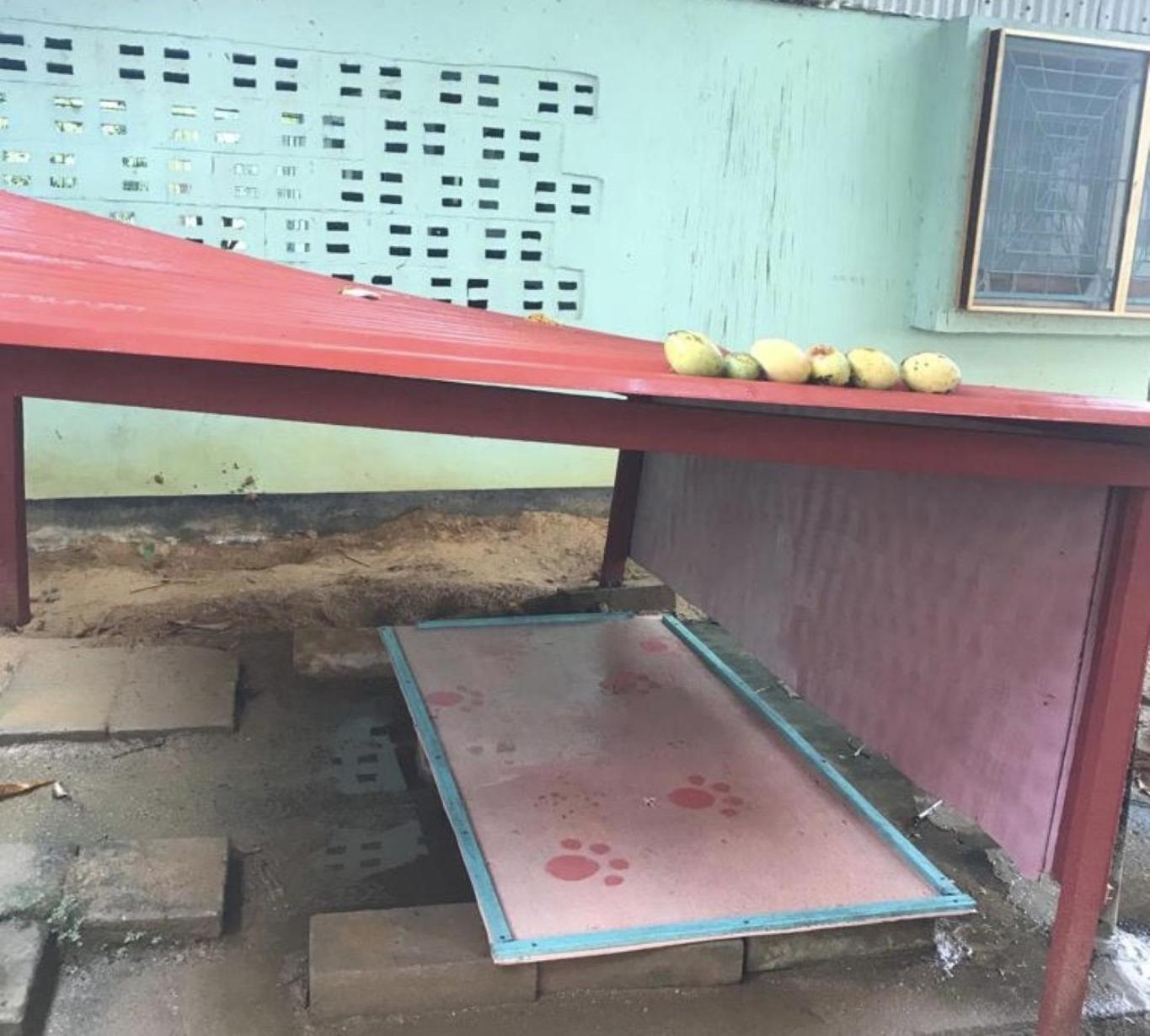 Unu Pikin Guesthouse Paramaribo Rom bilde